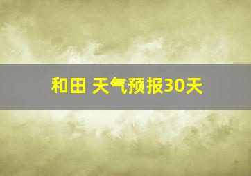 和田 天气预报30天